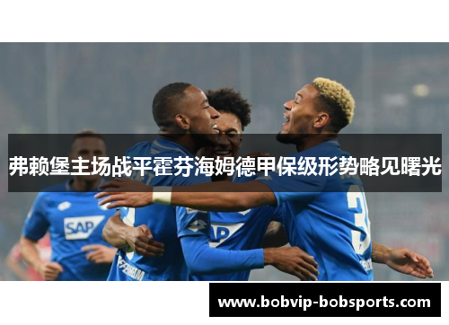 弗赖堡主场战平霍芬海姆德甲保级形势略见曙光